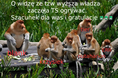 nosacze_forum.jpg