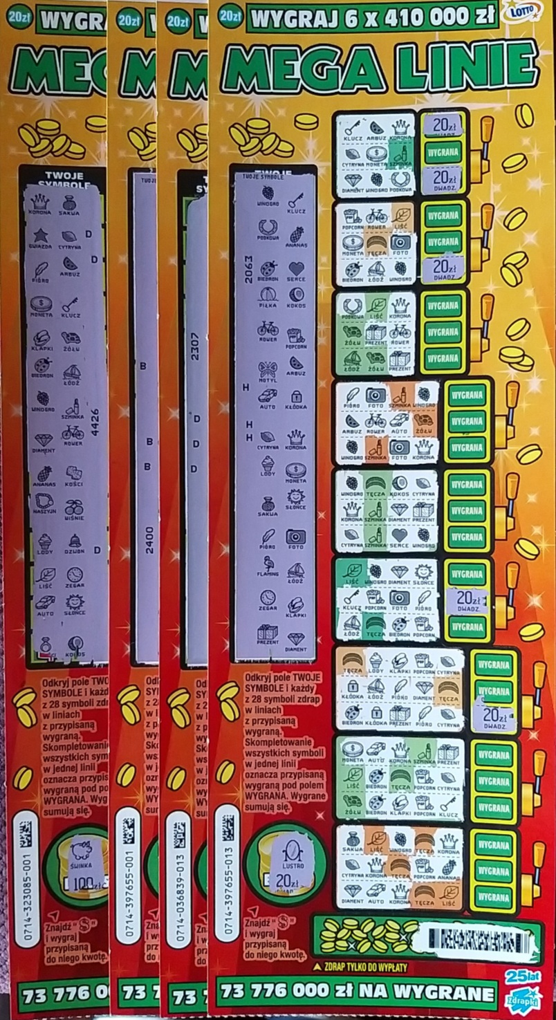 20240906_133211.jpg