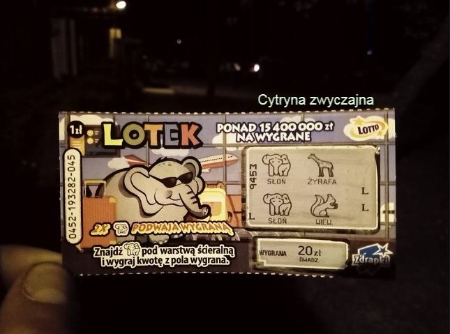 lotek.jpg