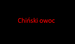 obraz_2025-09-24_115947887.png