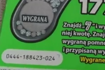 d7.jpg