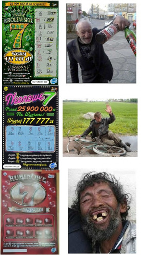 ewolucja7.jpg
